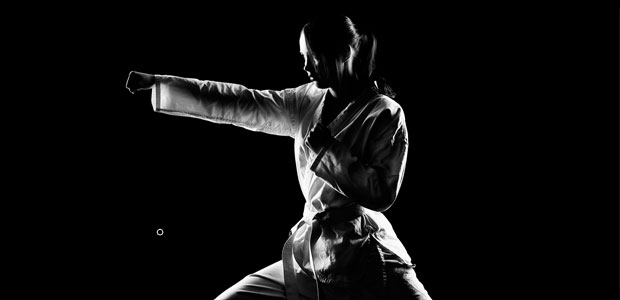 IX Międzynarodowy turniej w taekwondo olimpijskim