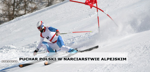 Puchar Polski w narciarstwie alpejskim | 09-10 lutego 2019 | Krynica-Zdrój