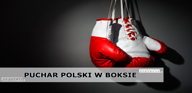 Międzynarodowy Puchar Polski Kadetek i Juniorek w Boksie | Krynica 05-08.11.2015