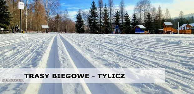 TRASY BIEGOWE - TYLICZ